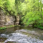 Schwarzwald Tiny House Village 3* Löffingen