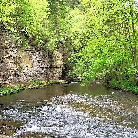 Schwarzwald Tiny House Village 3*